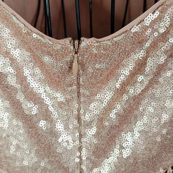 TRUTH AND FABLE Blush Sequined and Crochet Evening Dress Small - Picture 10 of 11
